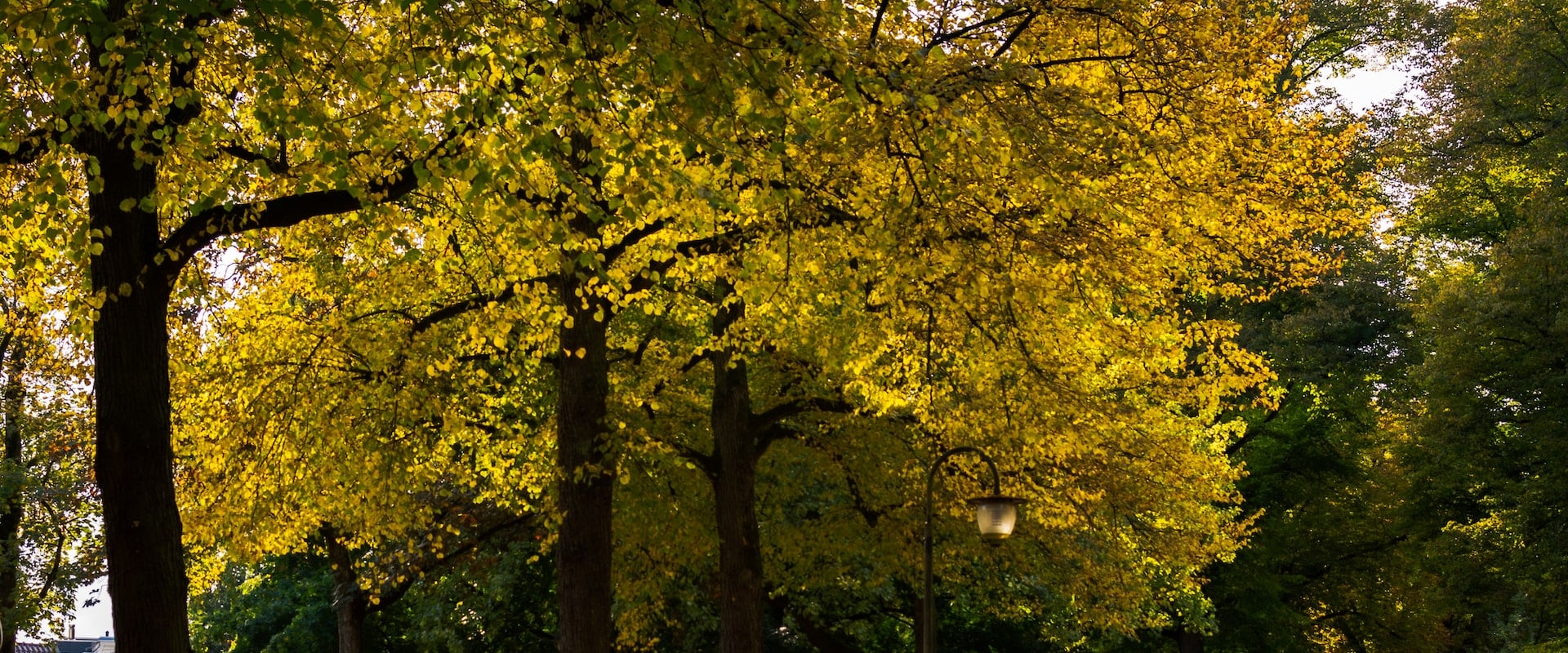 Unwind And Rejuvenate: Exploring The Relaxing Parks And Recreation Spaces In Colorado Springs