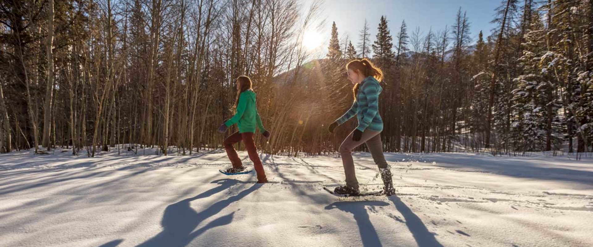 Snowshoeing in Colorado Springs: An Expert Guide to the Best Parks and Trails