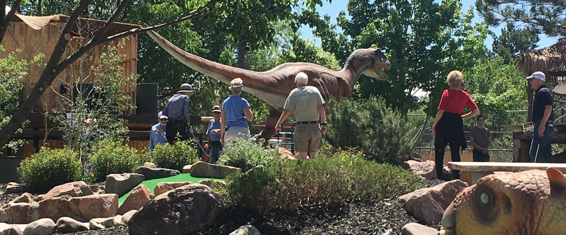 Mini Golf in Colorado Springs: A Comprehensive Guide
