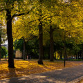 Unwind And Rejuvenate: Exploring The Relaxing Parks And Recreation Spaces In Colorado Springs