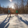 Snowshoeing in Colorado Springs: An Expert Guide to the Best Parks and Trails