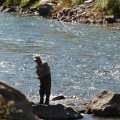 Fishing in Colorado Springs: A Guide for Anglers