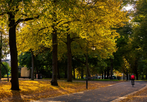 Unwind And Rejuvenate: Exploring The Relaxing Parks And Recreation Spaces In Colorado Springs