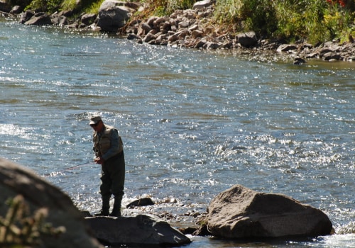 Fishing in Colorado Springs: A Guide for Anglers